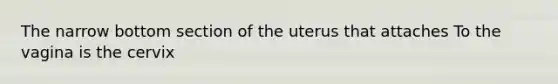 The narrow bottom section of the uterus that attaches To the vagina is the cervix