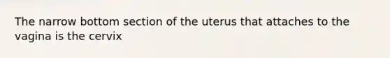 The narrow bottom section of the uterus that attaches to the vagina is the cervix