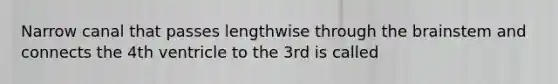 Narrow canal that passes lengthwise through the brainstem and connects the 4th ventricle to the 3rd is called