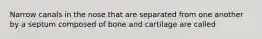 Narrow canals in the nose that are separated from one another by a septum composed of bone and cartilage are called