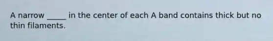 A narrow _____ in the center of each A band contains thick but no thin filaments.
