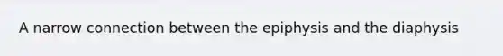 A narrow connection between the epiphysis and the diaphysis