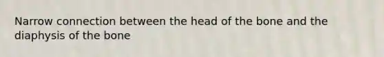 Narrow connection between the head of the bone and the diaphysis of the bone