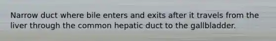 Narrow duct where bile enters and exits after it travels from the liver through the common hepatic duct to the gallbladder.