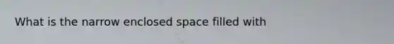 What is the narrow enclosed space filled with