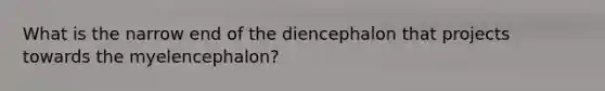 What is the narrow end of the diencephalon that projects towards the myelencephalon?