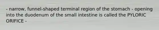 - narrow, funnel-shaped terminal region of the stomach - opening into the duodenum of the small intestine is called the PYLORIC ORIFICE -