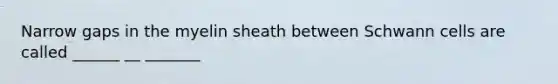 Narrow gaps in the myelin sheath between Schwann cells are called ______ __ _______