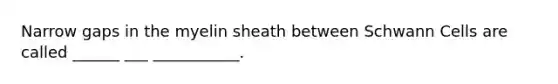 Narrow gaps in the myelin sheath between Schwann Cells are called ______ ___ ___________.