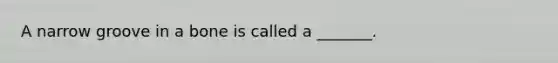 A narrow groove in a bone is called a _______.