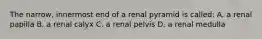 The narrow, innermost end of a renal pyramid is called: A. a renal papilla B. a renal calyx C. a renal pelvis D. a renal medulla