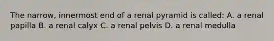 The narrow, innermost end of a renal pyramid is called: A. a renal papilla B. a renal calyx C. a renal pelvis D. a renal medulla