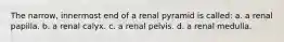 The narrow, innermost end of a renal pyramid is called: a. a renal papilla. b. a renal calyx. c. a renal pelvis. d. a renal medulla.