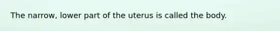 The narrow, lower part of the uterus is called the body.