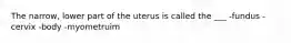 The narrow, lower part of the uterus is called the ___ -fundus -cervix -body -myometruim