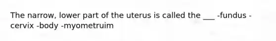 The narrow, lower part of the uterus is called the ___ -fundus -cervix -body -myometruim