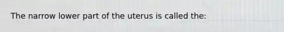 The narrow lower part of the uterus is called the: