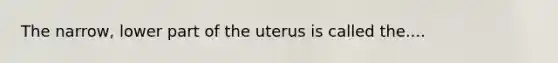 The narrow, lower part of the uterus is called the....