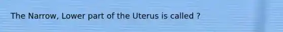 The Narrow, Lower part of the Uterus is called ?