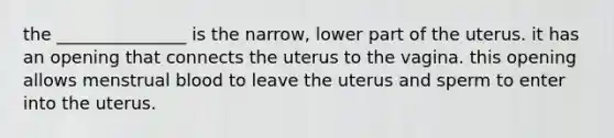 the _______________ is the narrow, lower part of the uterus. it has an opening that connects the uterus to the vagina. this opening allows menstrual blood to leave the uterus and sperm to enter into the uterus.