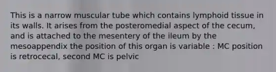 This is a narrow muscular tube which contains lymphoid tissue in its walls. It arises from the posteromedial aspect of the cecum, and is attached to the mesentery of the ileum by the mesoappendix the position of this organ is variable : MC position is retrocecal, second MC is pelvic