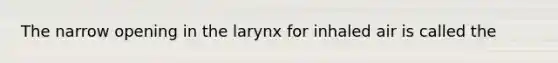 The narrow opening in the larynx for inhaled air is called the