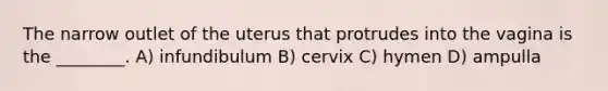 The narrow outlet of the uterus that protrudes into the vagina is the ________. A) infundibulum B) cervix C) hymen D) ampulla