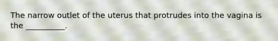 The narrow outlet of the uterus that protrudes into the vagina is the __________.