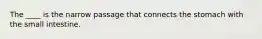 The ____ is the narrow passage that connects the stomach with the small intestine.