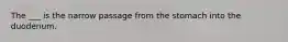 The ___ is the narrow passage from the stomach into the duodenum.