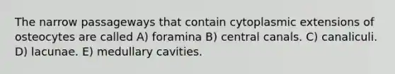 The narrow passageways that contain cytoplasmic extensions of osteocytes are called A) foramina B) central canals. C) canaliculi. D) lacunae. E) medullary cavities.