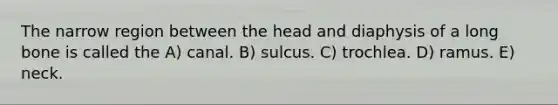 The narrow region between the head and diaphysis of a long bone is called the A) canal. B) sulcus. C) trochlea. D) ramus. E) neck.