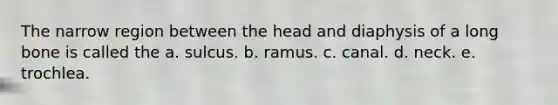 The narrow region between the head and diaphysis of a long bone is called the a. sulcus. b. ramus. c. canal. d. neck. e. trochlea.