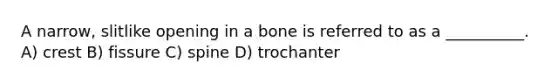 A narrow, slitlike opening in a bone is referred to as a __________. A) crest B) fissure C) spine D) trochanter