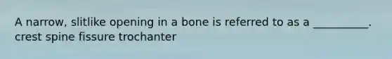 A narrow, slitlike opening in a bone is referred to as a __________. crest spine fissure trochanter