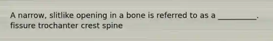 A narrow, slitlike opening in a bone is referred to as a __________. fissure trochanter crest spine