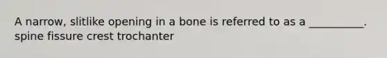 A narrow, slitlike opening in a bone is referred to as a __________. spine fissure crest trochanter