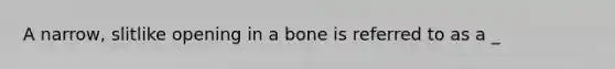 A narrow, slitlike opening in a bone is referred to as a _