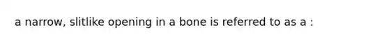 a narrow, slitlike opening in a bone is referred to as a :