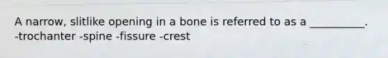 A narrow, slitlike opening in a bone is referred to as a __________. -trochanter -spine -fissure -crest