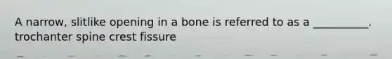 A narrow, slitlike opening in a bone is referred to as a __________. trochanter spine crest fissure