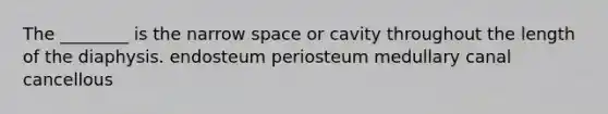 The ________ is the narrow space or cavity throughout the length of the diaphysis. endosteum periosteum medullary canal cancellous