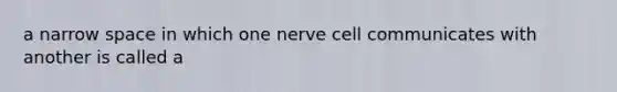 a narrow space in which one nerve cell communicates with another is called a