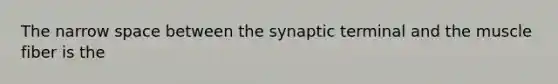 The narrow space between the synaptic terminal and the muscle fiber is the