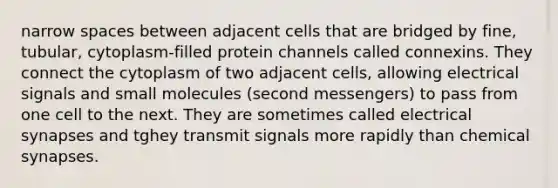 narrow spaces between adjacent cells that are bridged by fine, tubular, cytoplasm-filled protein channels called connexins. They connect the cytoplasm of two adjacent cells, allowing electrical signals and small molecules (second messengers) to pass from one cell to the next. They are sometimes called electrical synapses and tghey transmit signals more rapidly than chemical synapses.