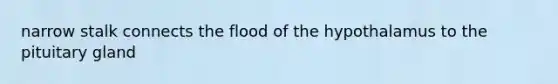 narrow stalk connects the flood of the hypothalamus to the pituitary gland