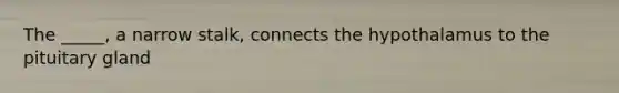 The _____, a narrow stalk, connects the hypothalamus to the pituitary gland