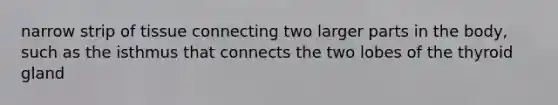 narrow strip of tissue connecting two larger parts in the body, such as the isthmus that connects the two lobes of the thyroid gland