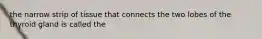 the narrow strip of tissue that connects the two lobes of the thyroid gland is called the