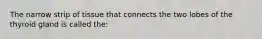 The narrow strip of tissue that connects the two lobes of the thyroid gland is called the: